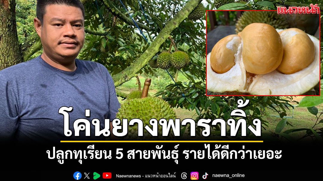 เกษตรกรตรังโค่นยางพาราเนื้อที่ 5 ไร่ปลูกทุเรียน 5 สายพันธุ์ยอดขายดีกว่าเยอะ