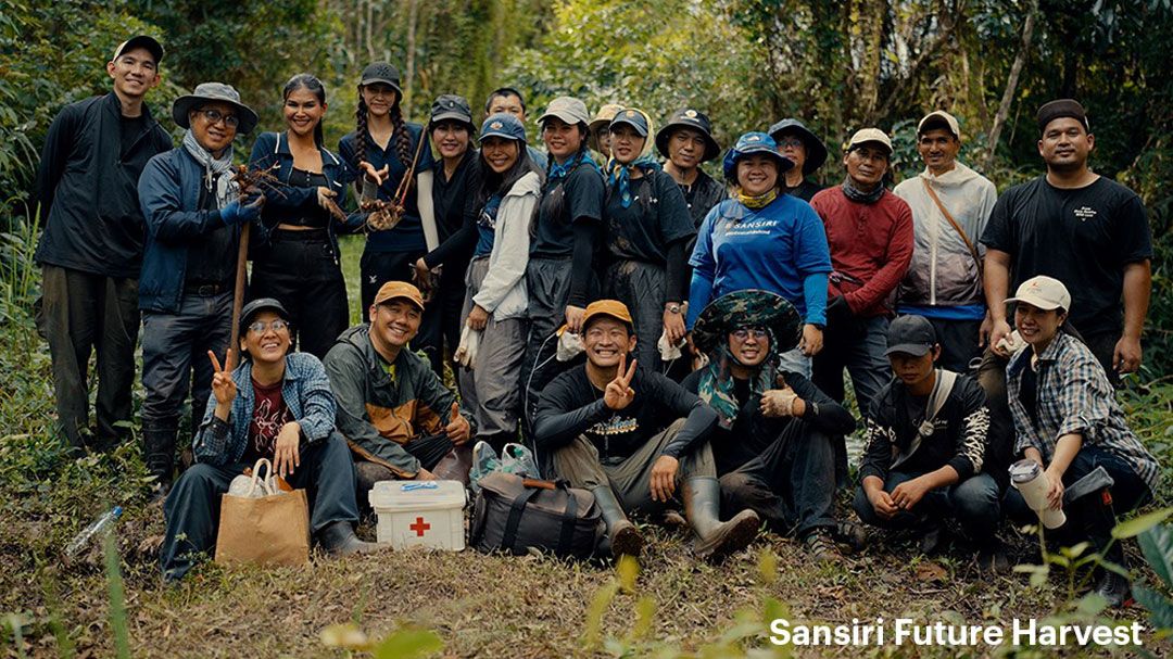 แสนสิริ ผุด ‘Future Harvest’ ปลูกกาแฟพันธุ์ดี ลดฝุ่นพิษ - เพิ่มรายได้