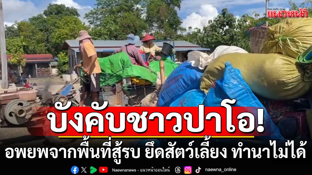 ทหารเมียนมาบังคับชาวปาโอ 6,000 คน อพยพจากพื้นที่สู้รบ ยึดสัตว์เลี้ยง ทำนาไม่ได้