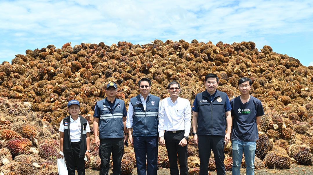 พาณิชย์ลุยใต้ ตรวจสถานการณ์ปาล์มราคาร่วง - เร่งโรงงานเดินเครื่อง รับมือผลผลิตล้นตลาด