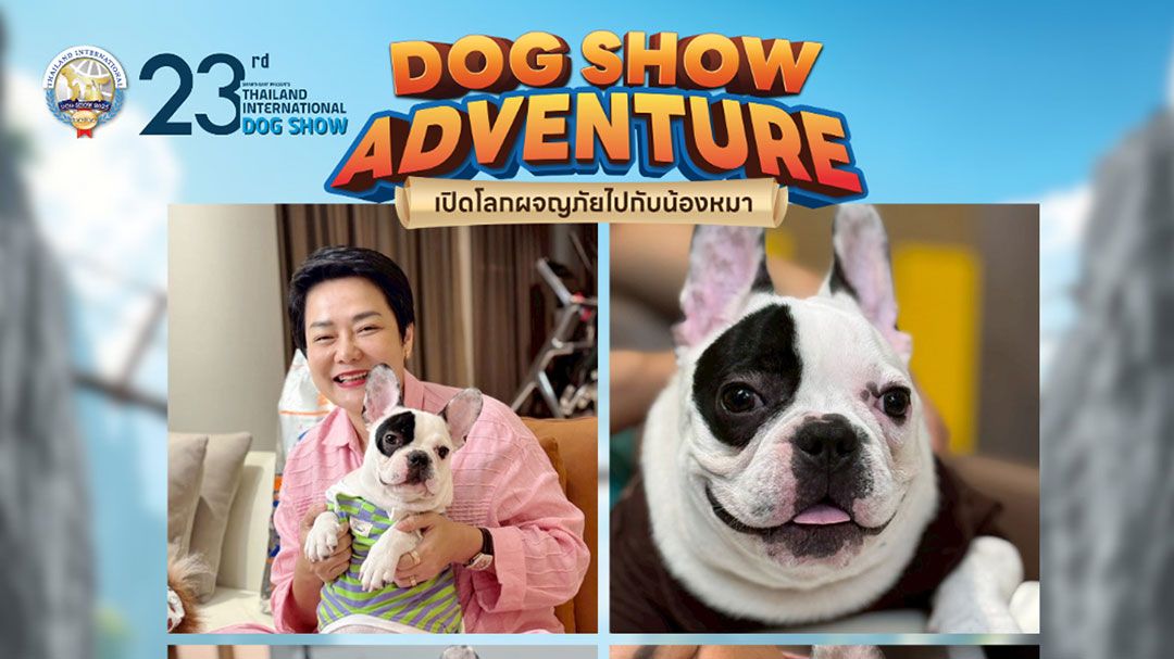 เปิดโลกผจญภัยของคนรักหมา! พบ 6 กิจกรรมสุดมันส์ที่ Dog Show 2025