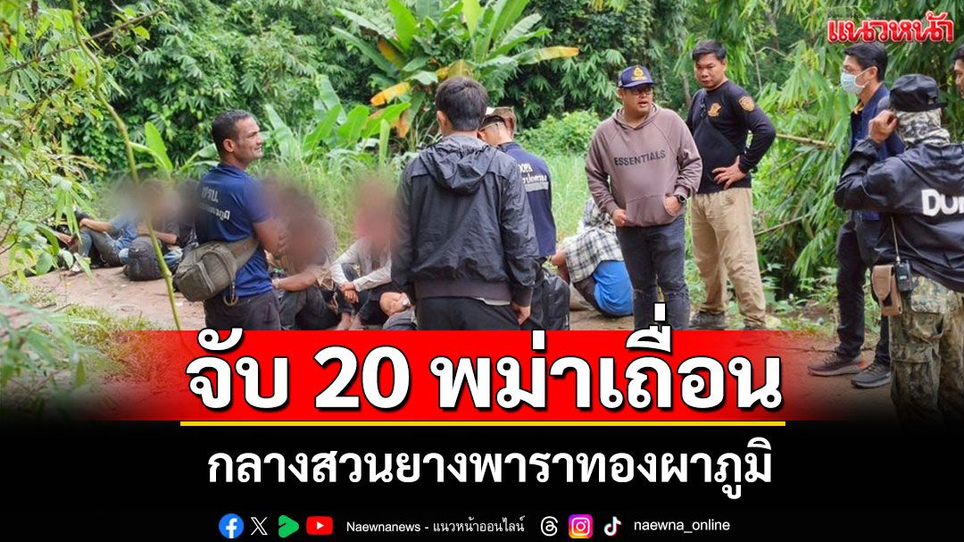 นายอำเภอทองผาภูมิ นำกำลังบุกจับ 20 แรงงานเถื่อนกลางสวนยางพารา