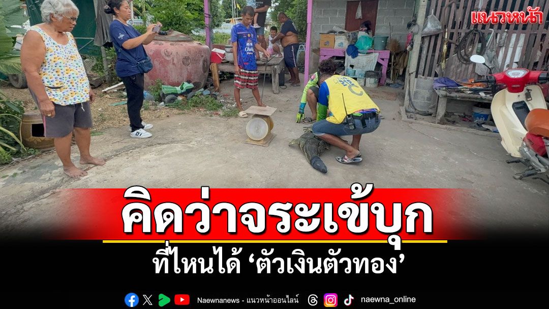 ยายตกใจ! คิดว่าจระเข้บุกบ้าน แจ้งเจ้าหน้าที่ช่วยจับปล่อยคืนป่า เชื่อมาให้โชค