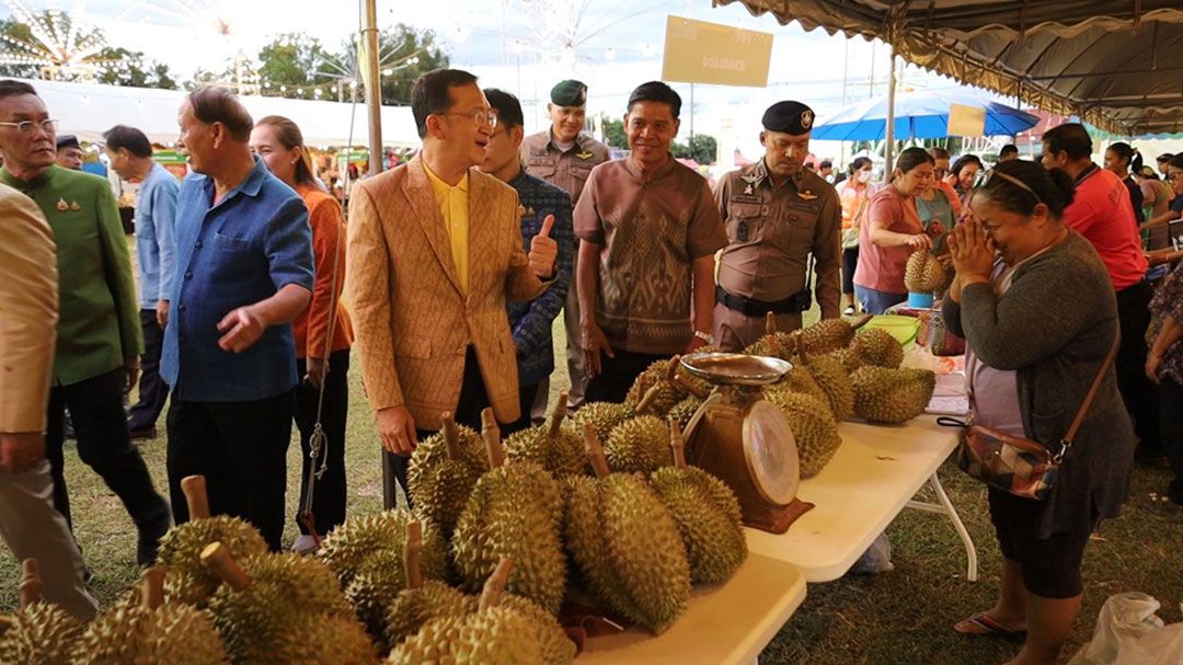 โคราชคึกคัก! เทศกาลทุเรียนบุญมาก 'ของแทร่' เริ่มแล้วนักชิมแห่ซื้อทุเรียนพูละ 9 บาท