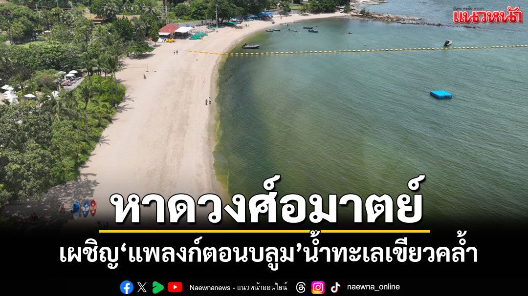 หาดวงศ์อมาตย์เผชิญ 'แพลงก์ตอนบลูม' น้ำทะเลเขียวคล้ำส่งกลิ่นคล้ายกำมะถัน