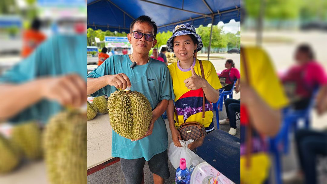 'ทุเรียนหมอนทอง' ของแปดริ้ว-พืชเศรษฐกิจน้องใหม่ป้ายแดง