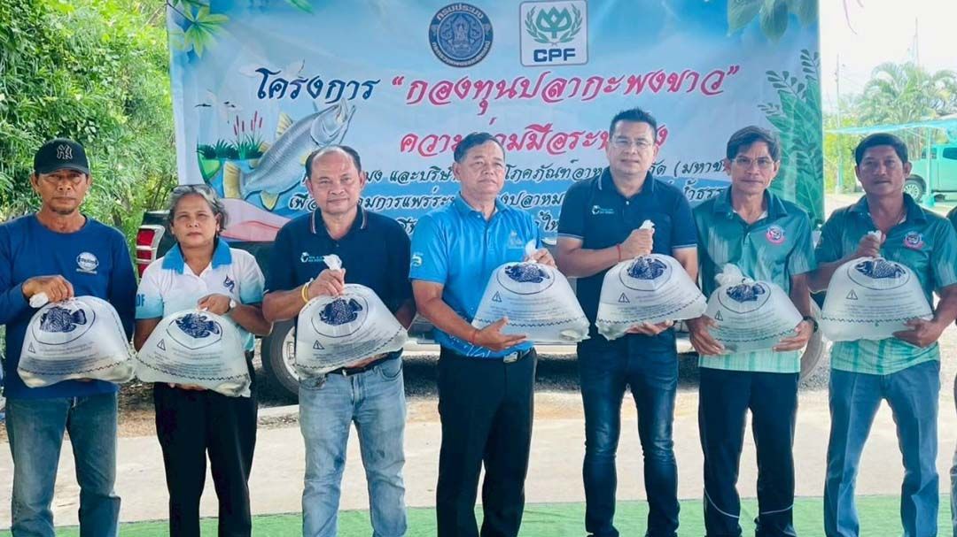 เกษตรกรยืนยัน‘ปลากะพงขาว’ช่วยคุม‘ปลาหมอคางดำ’ในบ่อได้