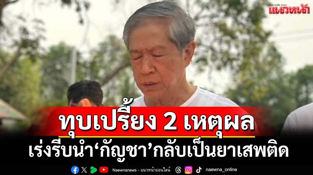 ทุบเปรี้ยง! ‘หมอเดชา’เชื่อมี 2 เหตุผล เร่งรีบนำ‘กัญชา’กลับไปเป็นยาเสพติด
