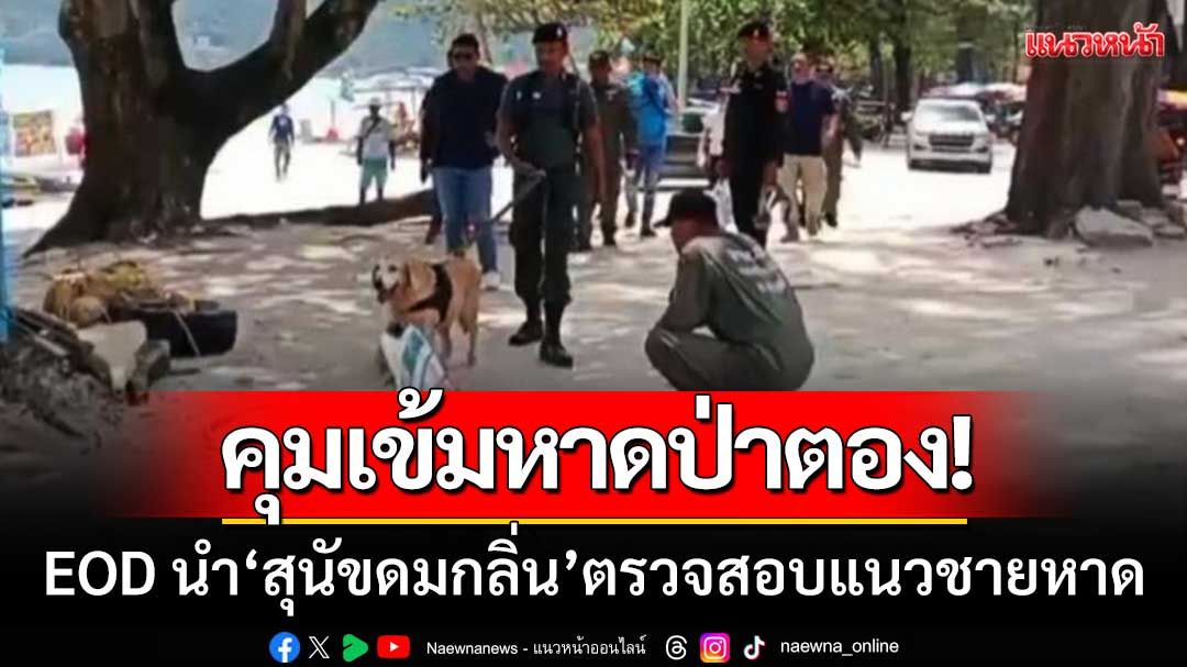 ภูเก็ตคุมเข้ม! ‘ชายหาดป่าตอง’ EOD นำ‘สุนัขดมกลิ่น’ตรวจสอบแนวชายหาด
