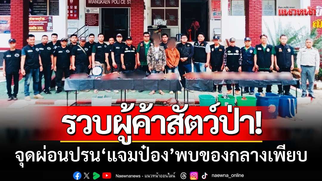 จนท.สนธิกำลัง! ‘รวบผู้ค้าสัตว์ป่า’ จุดผ่อนปรนแจมป๋อง-ของกลางเพียบ