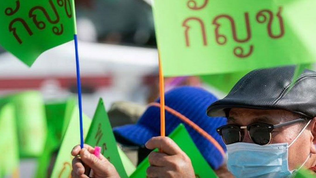 เครือข่ายกัญชาค้านเดือด ปลุกมวลชนบุกสธ.7ก.ค.