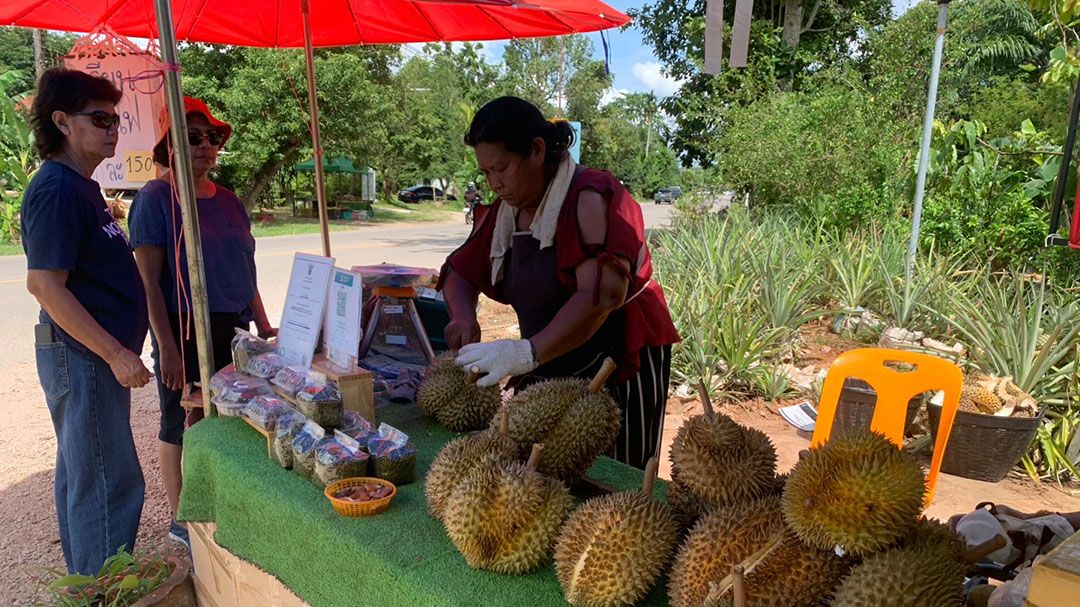 ตื่นตา!! ทัพปูทหารนับล้าน โผล่ชายหาดเจ้าไหม จ.ตรัง