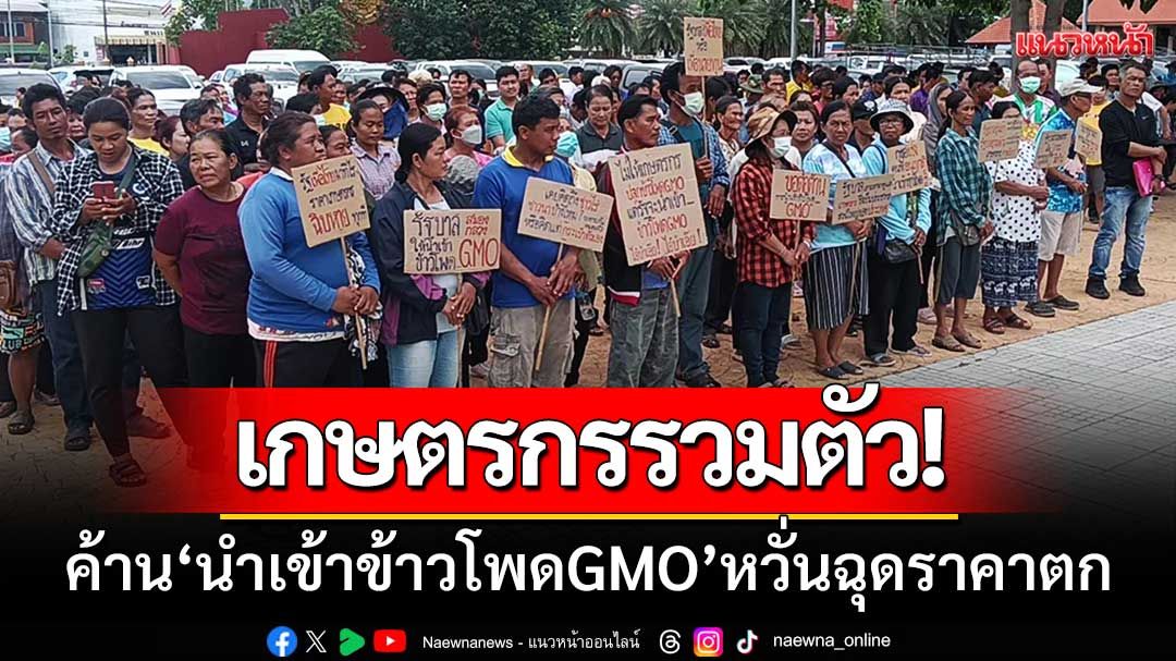 เกษตรกรชนแดน-รวมตัวค้าน ‘นำเข้าข้าวโพดGMO’ หวั่นฉุดราคาตกต่ำ