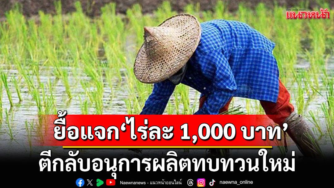 นบข.ยื้อแจกเงิน'ไร่ละ 1,000 บาท' ตีกลับอนุการผลิตทบทวนใหม่