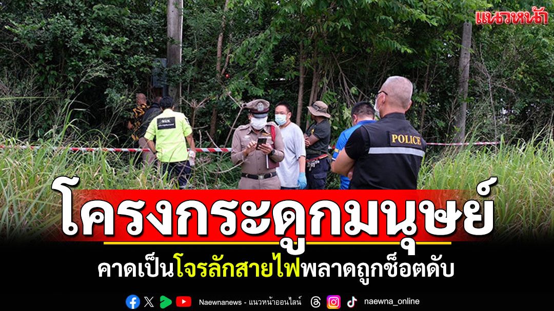 โครงกระดูกมนุษย์ใต้เสาไฟฟ้า คาดเป็นโจรลักสายไฟ พลาดถูกไฟช็อตดับ