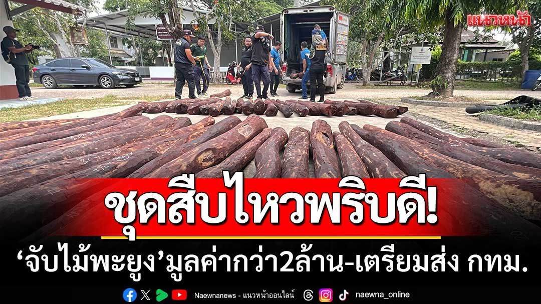 ชุดสืบไหวพริบดี! ‘จับไม้พะยูง60ท่อน’ มูลค่ากว่า2ล้าน-เตรียมส่ง กทม.