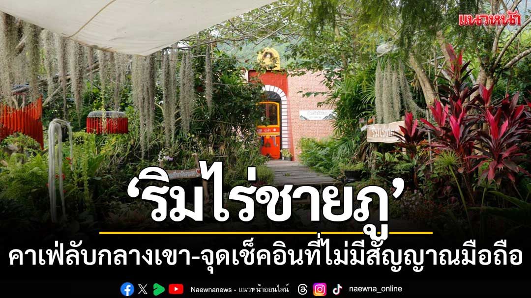 ‘ริมไร่ชายภู’ คาเฟ่ลับกลางหุบเขาเพชรบูรณ์-จุดเช็คอินที่ไม่มีสัญญาณโทรศัพท์