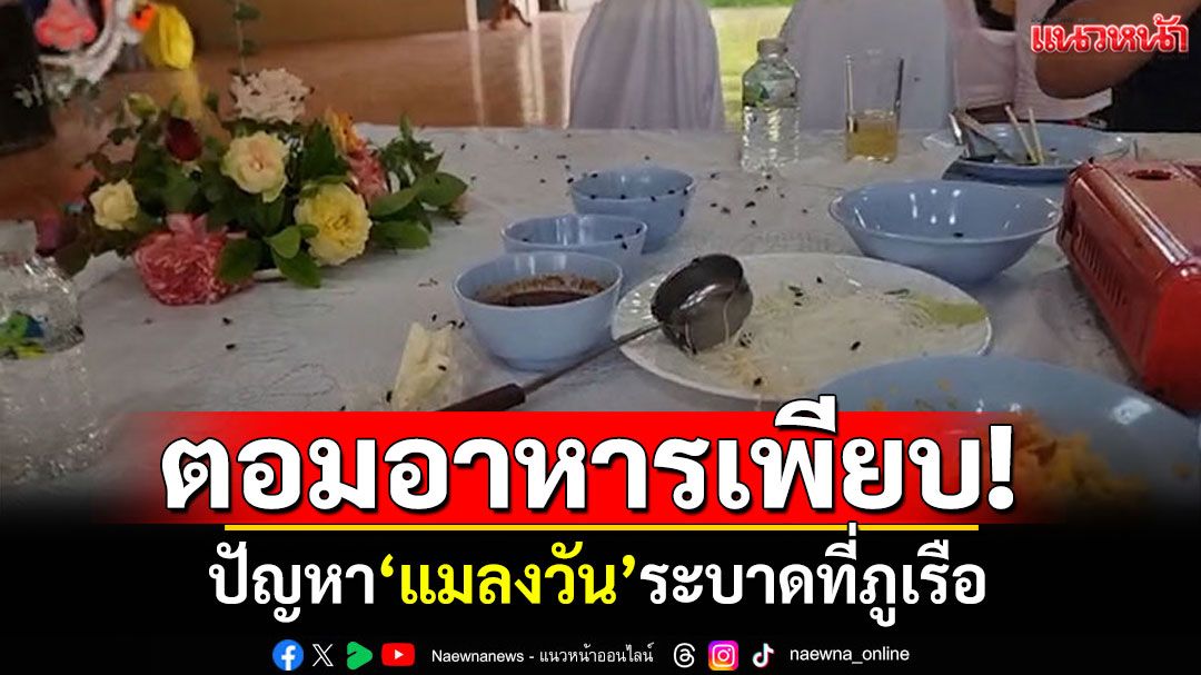 ตอมอาหารเพียบ! 'แมลงวัน'ระบาดเมืองภูเรือ เร่งแก้หวั่นนทท.มองเป็นเมืองสกปรก