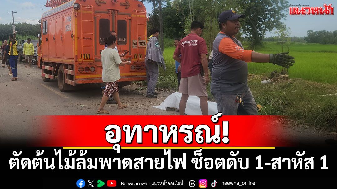 อุทาหรณ์! ตัดต้นไม้ล้มพาดสายไฟ ช็อตคนงานดับ 1 เจ็บสาหัส 1