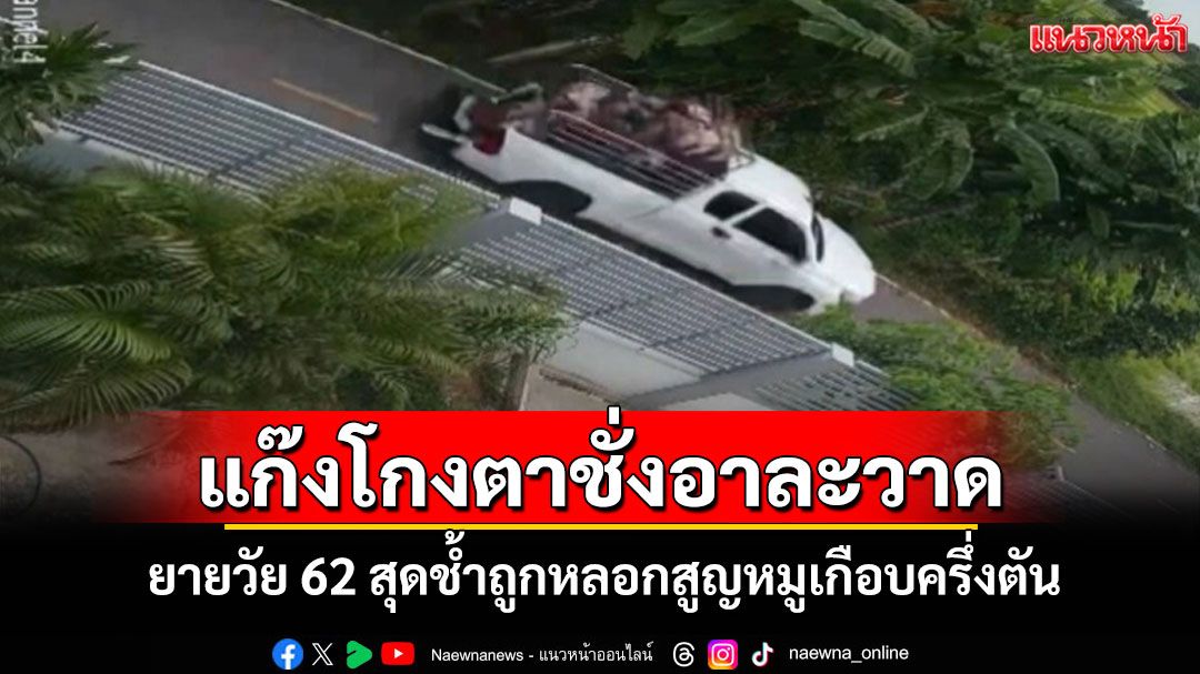 แก๊งโกงตาชั่งอาละวาดบุรีรัมย์ยายวัย 62 ช้ำใจโดนโกงน้ำหนักหมูครึ่งตันขับรถหนีไปต่อหน้า