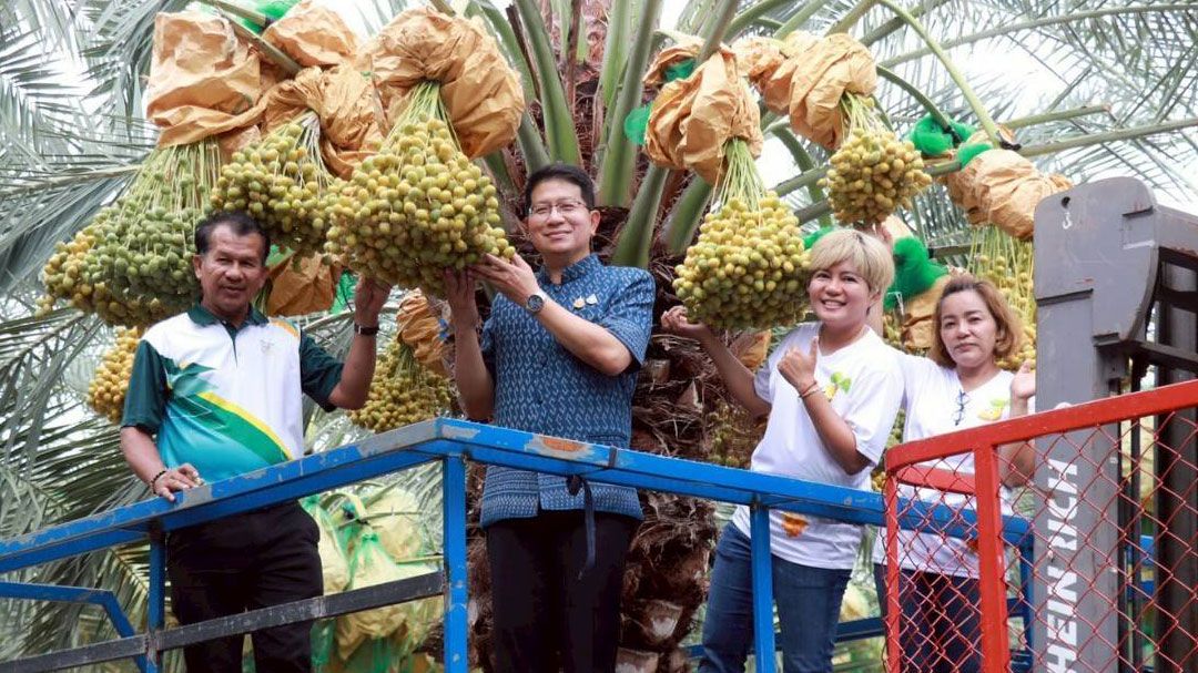 บ่อพลอยเปิดมิติใหม่! เทศกาลอินทผลัมครั้งแรกในประวัติศาสตร์ รวมกว่า 30 สวนคุณภาพ  ดึงดูดนักท่องเที่ยว