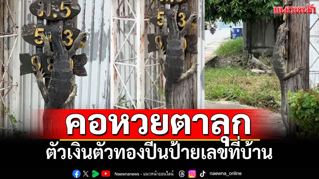นักเสียงโชคฮือฮา! ตัวเงินตัวทองเกาะป้ายบ้านเลขที่ \'บ้านกำนัน\' มีหรือจะพลาด!