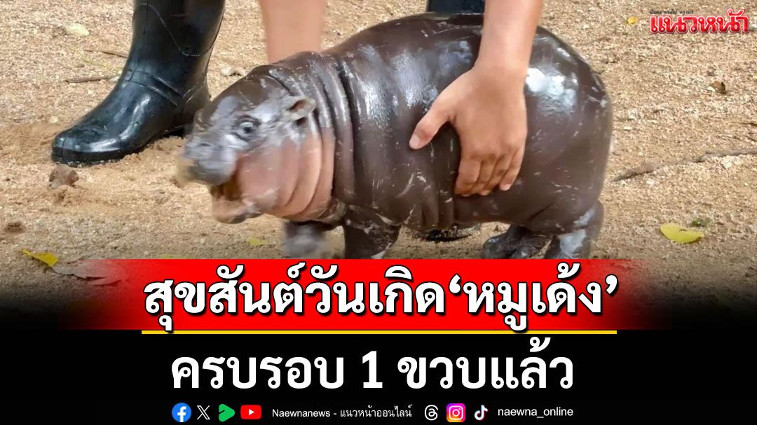 สุขสันต์วันเกิด 'หมูเด้ง' ครบรอบ 1 ขวบ เด็กอายุไม่เกิน 12 ปี ชมฟรี
