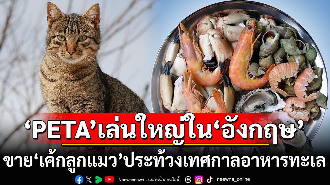 สัตว์เท่ากัน! ‘PETA’เล่นใหญ่ขาย‘เค้กลูกแมว’ประท้วงเทศกาลอาหารทะเลใน‘อังกฤษ’