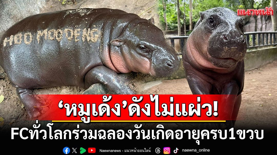 FCทั่วโลกคึกคัก! ฉลองวันเกิด'หมูเด้ง'อายุครบ1ขวบ ตอกย้ำความเป็นซุปตาร์โน1เมืองไทย