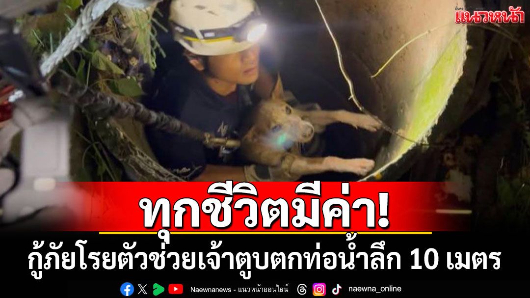 ทุกชีวิตมีค่า! กู้ภัยโรยตัวช่วยเจ้าตูบตกท่อน้ำลึก 10 เมตร