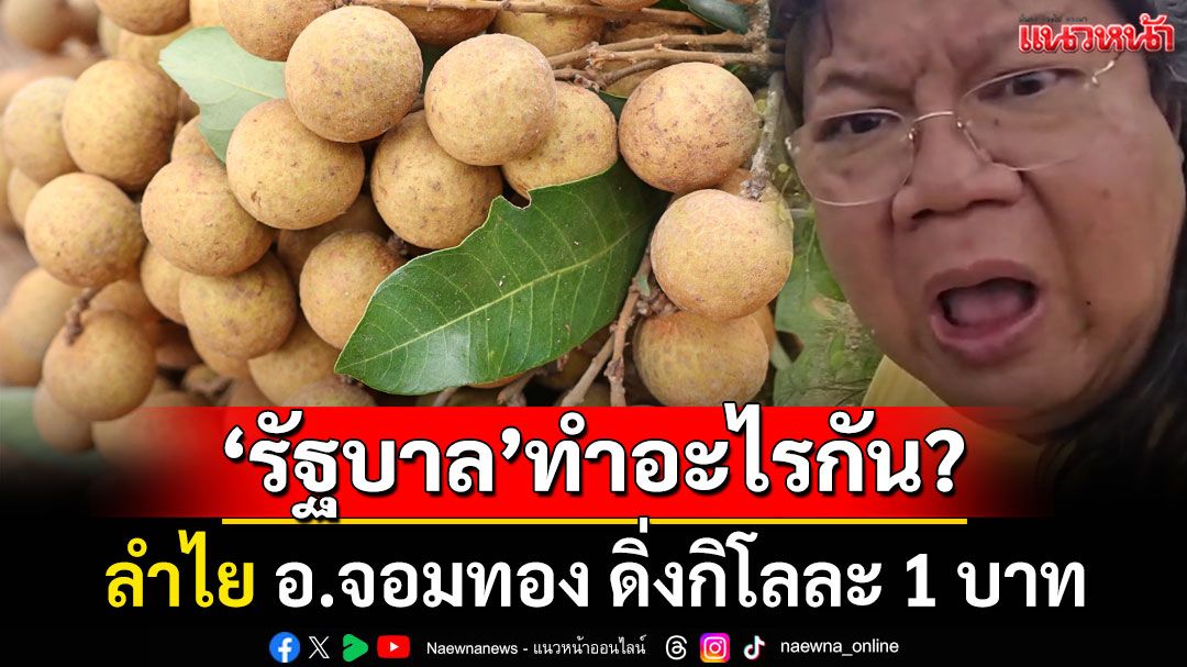 'อ.ยิ่งศักดิ์'ฟาดยับ 'รัฐบาล'ทำอะไรกัน? 'ลำไย' อ.จอมทอง ดิ่งกิโลละ 1 บาท (ชมคลิป)