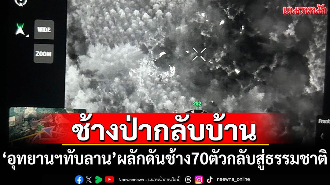 ช้างป่ากลับบ้าน! 'อุทยานฯทับลาน'ผลักดันช้าง 70 ตัวกลับสู่ธรรมชาติ