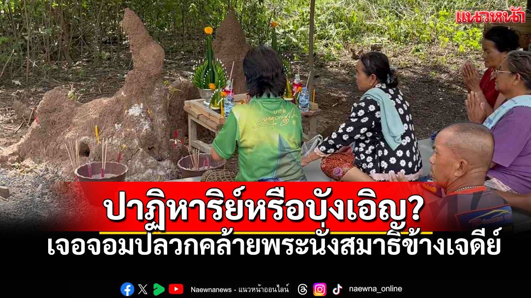 ฮือฮา! อสม.เจอจอมปลวกคล้ายพระนั่งสมาธิข้างเจดีย์ ชาวบ้านแห่ขอโชค
