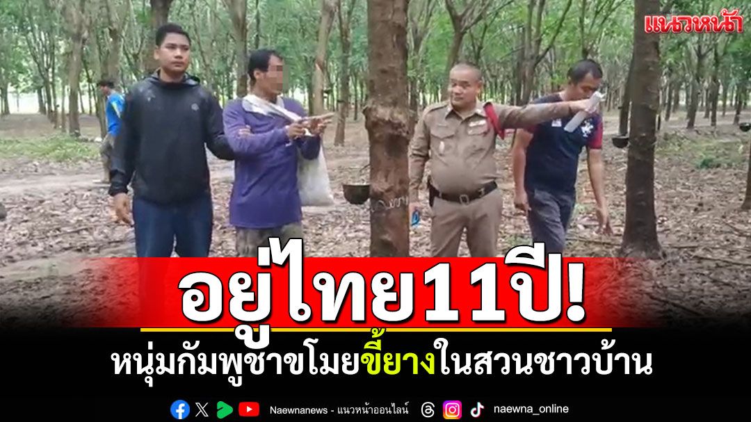 อยู่ไทย11ปี! หนุ่มกัมพูชาขโมยขี้ยางในสวนชาวบ้าน