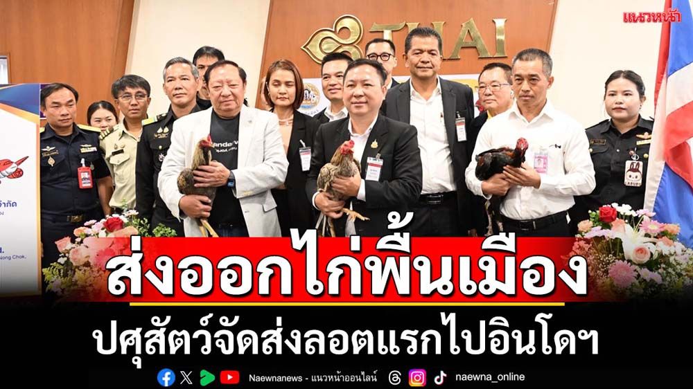 ปศุสัตว์จัดส่งไก่พื้นเมืองลอตแรกไปอินโดฯ