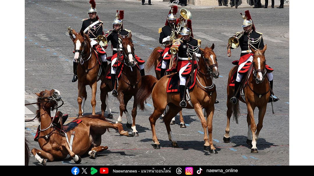 Photo of the week : ภาพเด็ดประจำสัปดาห์