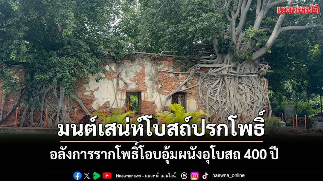 มนต์เสน่ห์'โบสถ์ปรกโพธิ์'วัดสังกระต่าย อ่างทอง อลังการรากโพธิ์โอบอุ้มผนังอุโบสถ 400 ปี