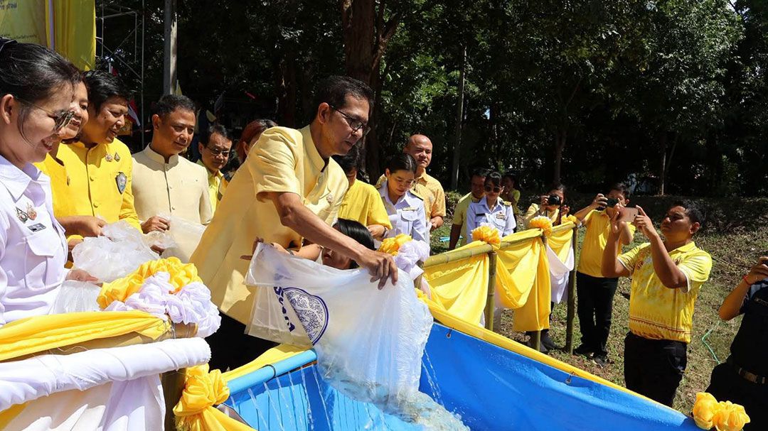จ.อำนาจเจริญ ร่วมกันปล่อยพันธุ์สัตว์น้ำ
