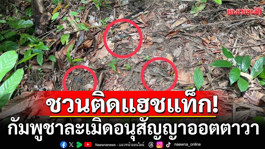 ชวนชาวเน็ตติดแฮชแท็ก #กัมพูชาละเมิดอนุสัญญาออตตาวา