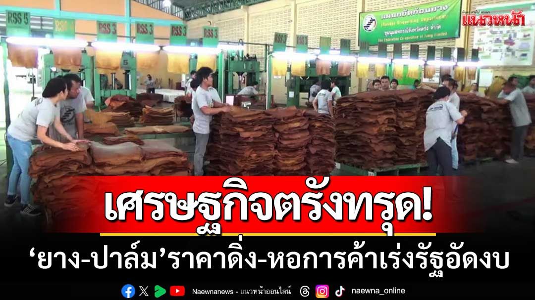 ศก.ตรังทรุด 'ยาง-ปาล์ม'ราคาดิ่ง หอการค้าเร่งรัฐอัดงบ-ดันคนละครึ่งฟื้นท่องเที่ยว