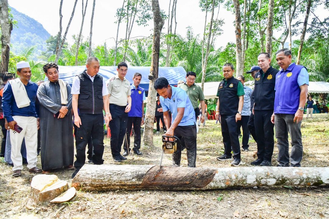 'เฉลิมชัย' ประเดิมแปลงแรก! ตัดไม้เกษตรที่ปลูกขึ้นเอง เพื่อการดำรงชีพอย่างปกติธุระของชุมชน ในพื้นที่อุทยานแห่งชาติทะเลบัน