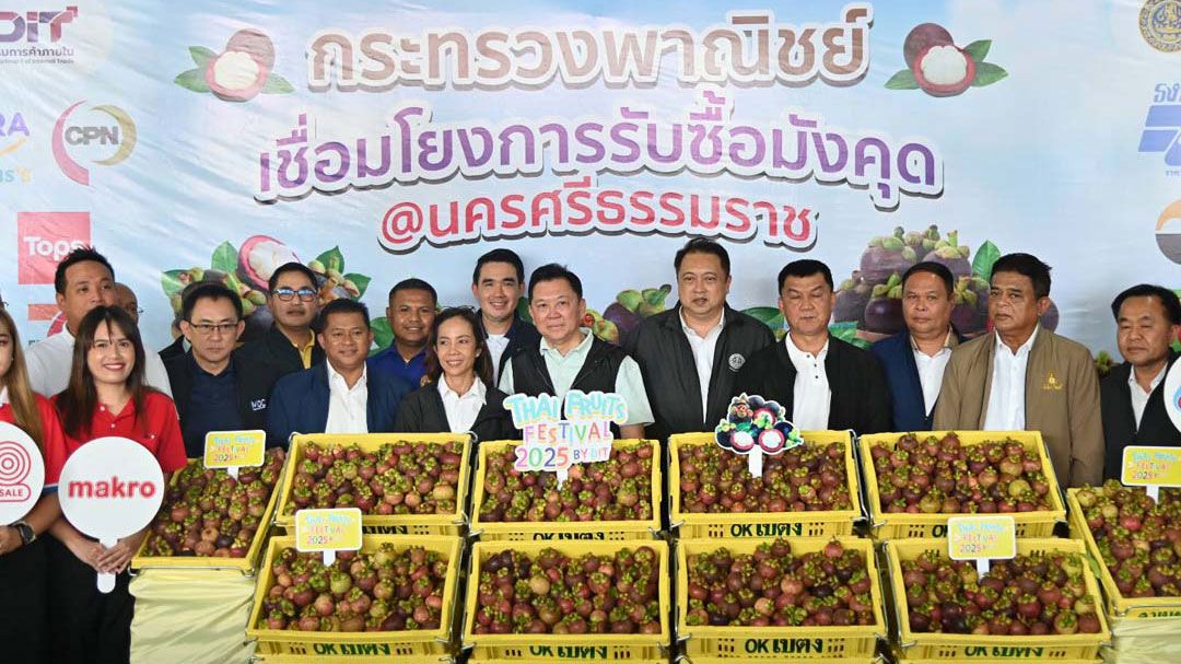 'สุชาติ'ปลื้ม! ใช้เวลาแค่ 16 วัน ดันราคา'มังคุดใต้'ทะลุกิโลละ 100 บาท
