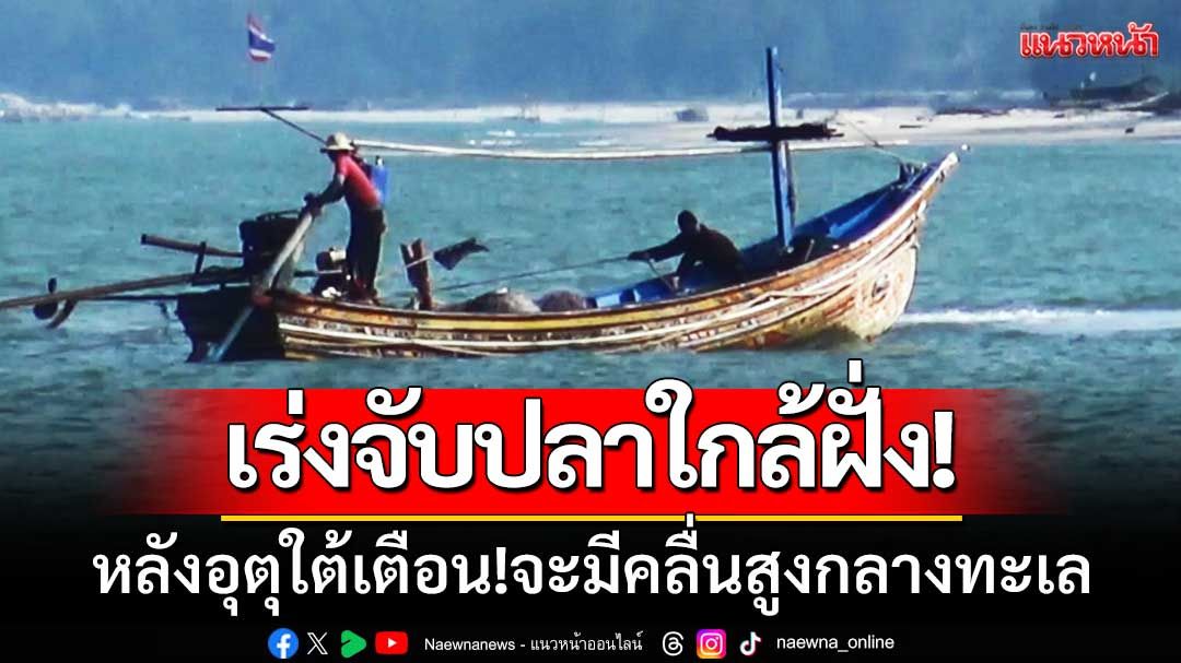 ประมงพื้นบ้านนำเรือ 'จับปลาใกล้ฝั่ง' หลังอุตุใต้เตือน! 'จะมีคลื่นสูงกลางทะเล'