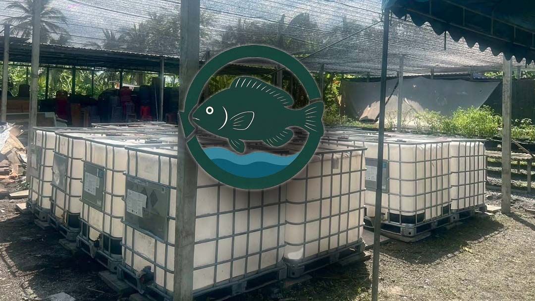 เปิดตัวน้ำหมักชีวภาพสูตรปลาหมอคางดำ Waste , Not Wasted