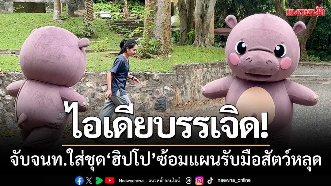 ไอเดียบรรเจิด! สวนสัตว์เปิดเขาเขียว-จับจนท.ใส่ชุด 'ฮิปโป' ซักซ้อมแผนรับมือสัตว์หลุด
