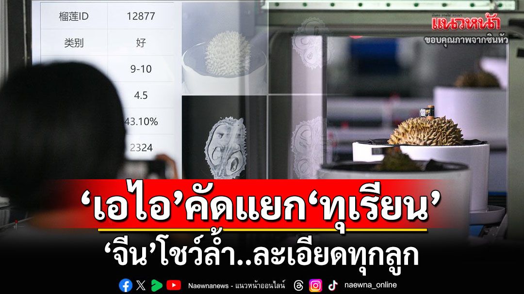‘จีน’โชว์ล้ำ! เปิดสายพานใช้‘เอไอ’คัดแยก‘ทุเรียน’ละเอียดทุกลูก