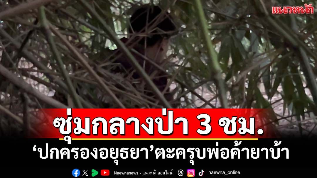 ‘ปกครองอยุธยา’อึด! ซุ่มกลางป่านานกว่า 3 ชม. ก่อนตะครุบพ่อค้ายาบ้า