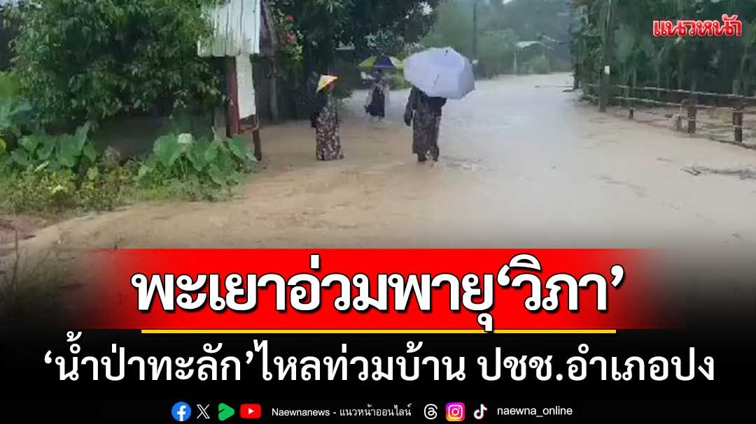 พะเยาอ่วม! 'พายุวิภาถล่ม' มวลน้ำทะลักจากดอยผาช้าง-ไหลท่วมบ้านเรือน อ.ปง