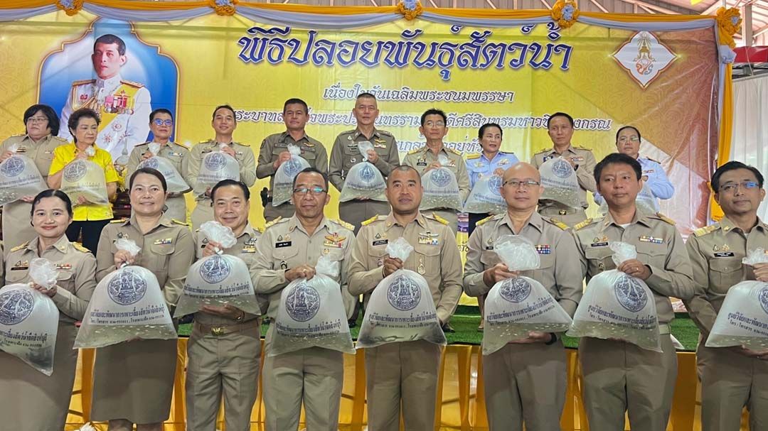 ‘ผู้การสิงห์บุรี-ผกก.บางระจัน’ร่วมพิธีปล่อยพันธุ์สัตว์น้ำ เนื่องในวันเฉลิมพระชนมพรรษาในหลวง