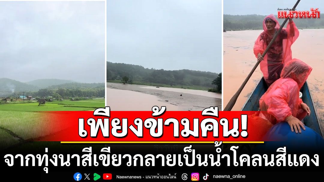 สาวโพสต์คลิป น่านฝนถล่ม จากทุ่งนาสีเขียว ผ่านเพียงข้ามคืน กลายเป็นน้ำโคลนสีแดง (คลิป)